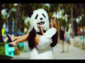 Нет изображения
